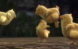 Chocobo_chicks